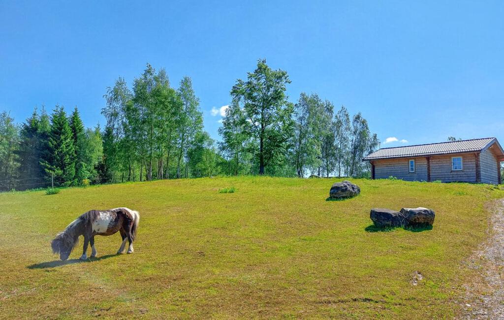 STUGA COTTAGE ÄNGELHOLM lantlig, on horsefarm - Housity