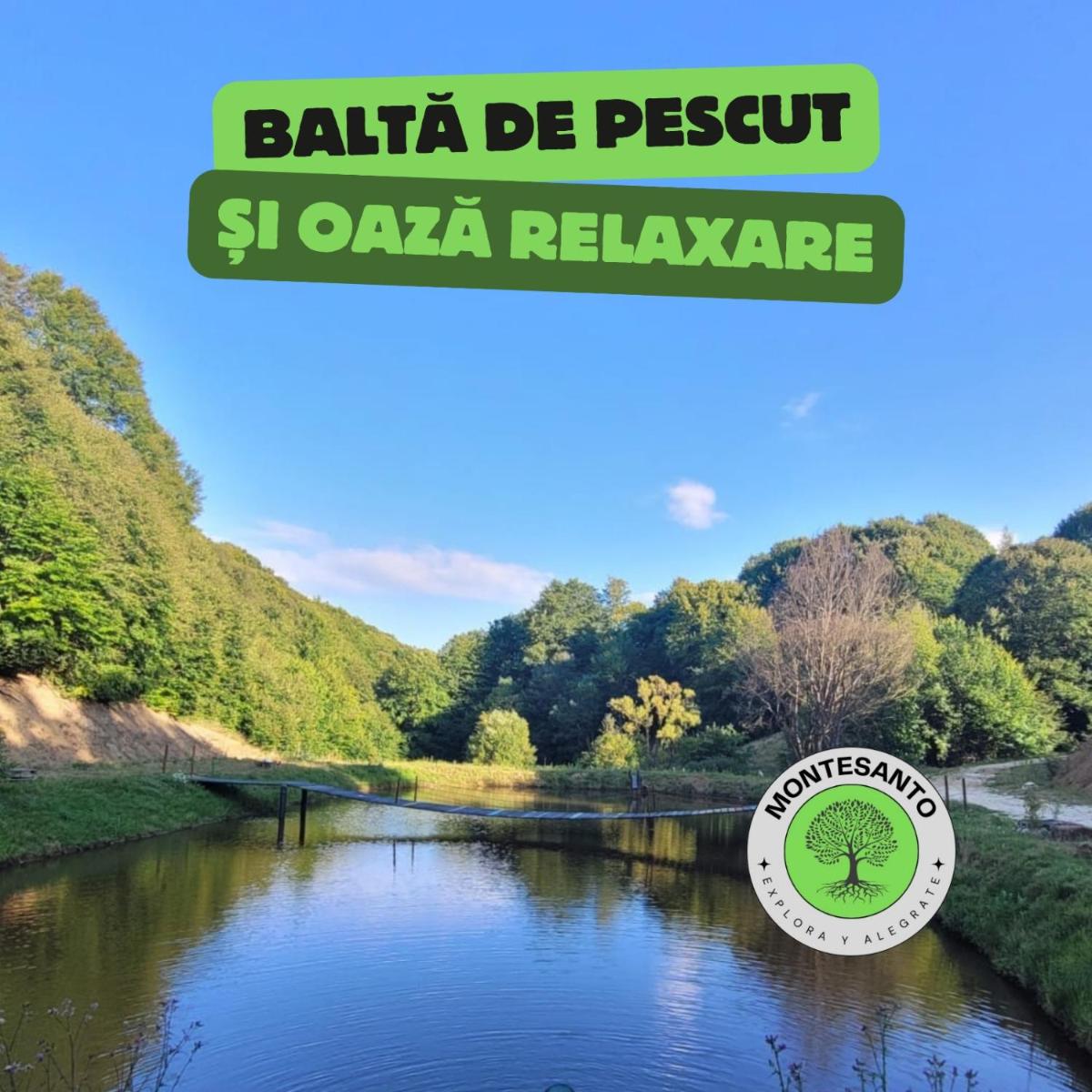 Montesanto - Explora y Alegrate - Housity