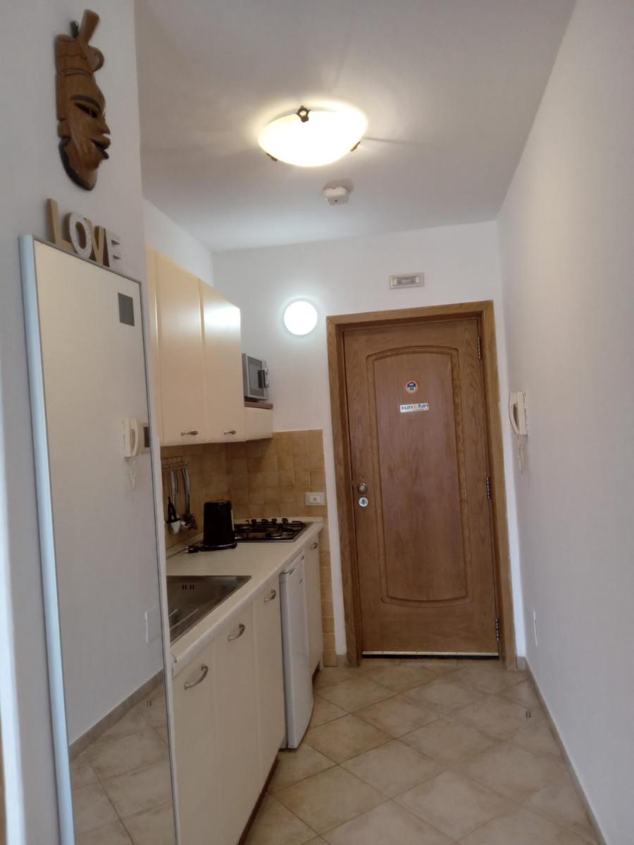 Oasis Palmeira - Hizvo