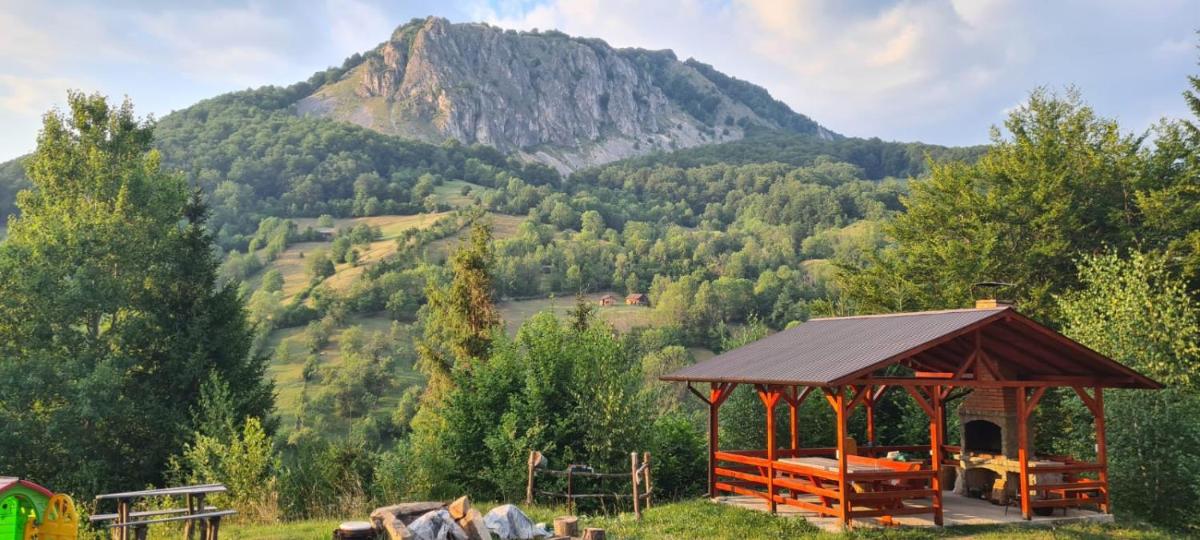 Cabana Belvedere Dragoslavele - Housity