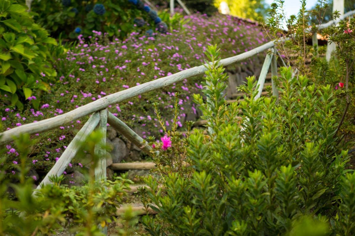 Um jardim no exterior de Atrio