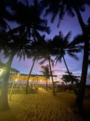 Absolute paradise - Housity