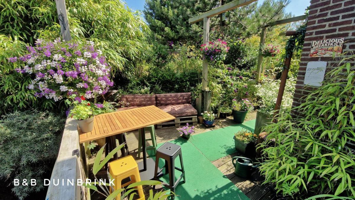B&B Duinbrink - Housity