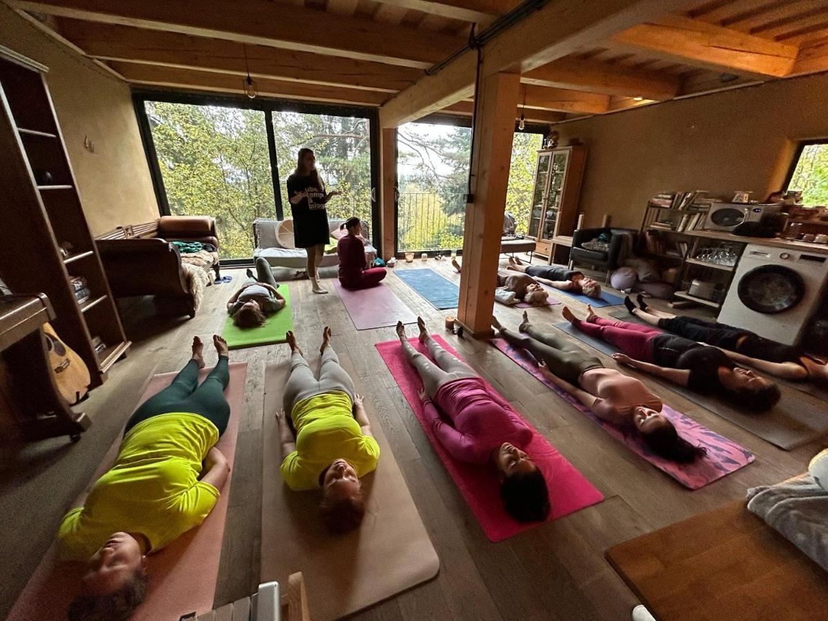 Mountain Lodge Azzy, surrounded by Ultimate Peace! - Housity