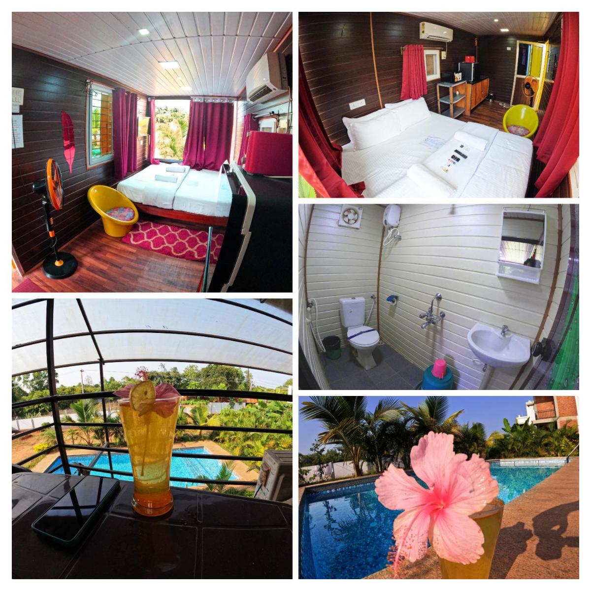 Wow Buddha Box - Housity