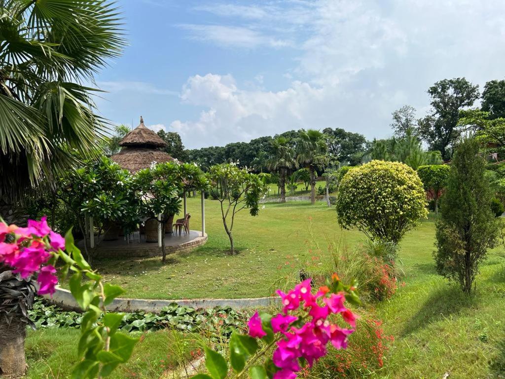The Dream Forest, Banquet & Resorts - Housity