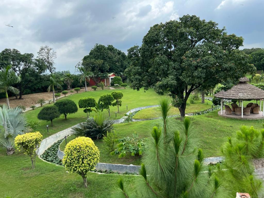 The Dream Forest, Banquet & Resorts - Housity
