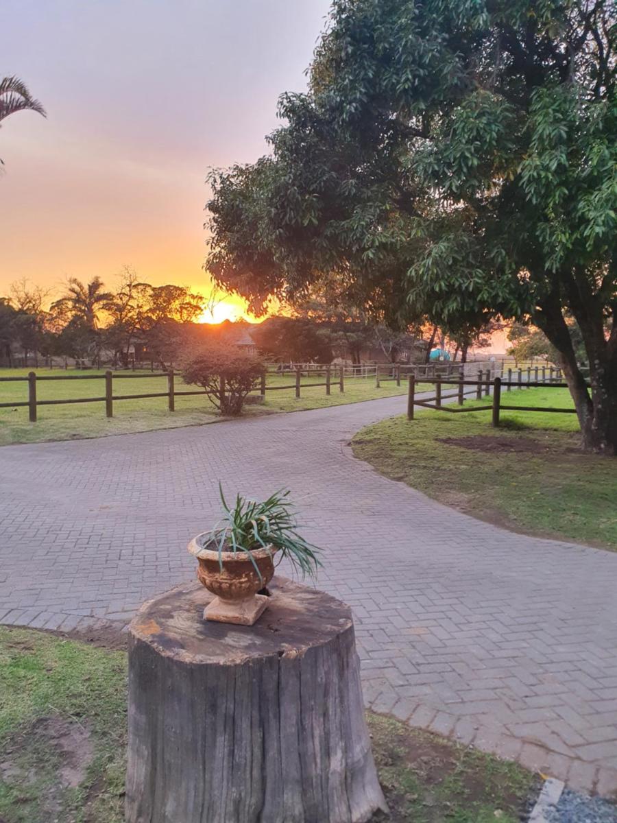 bird haven self catering - Housity
