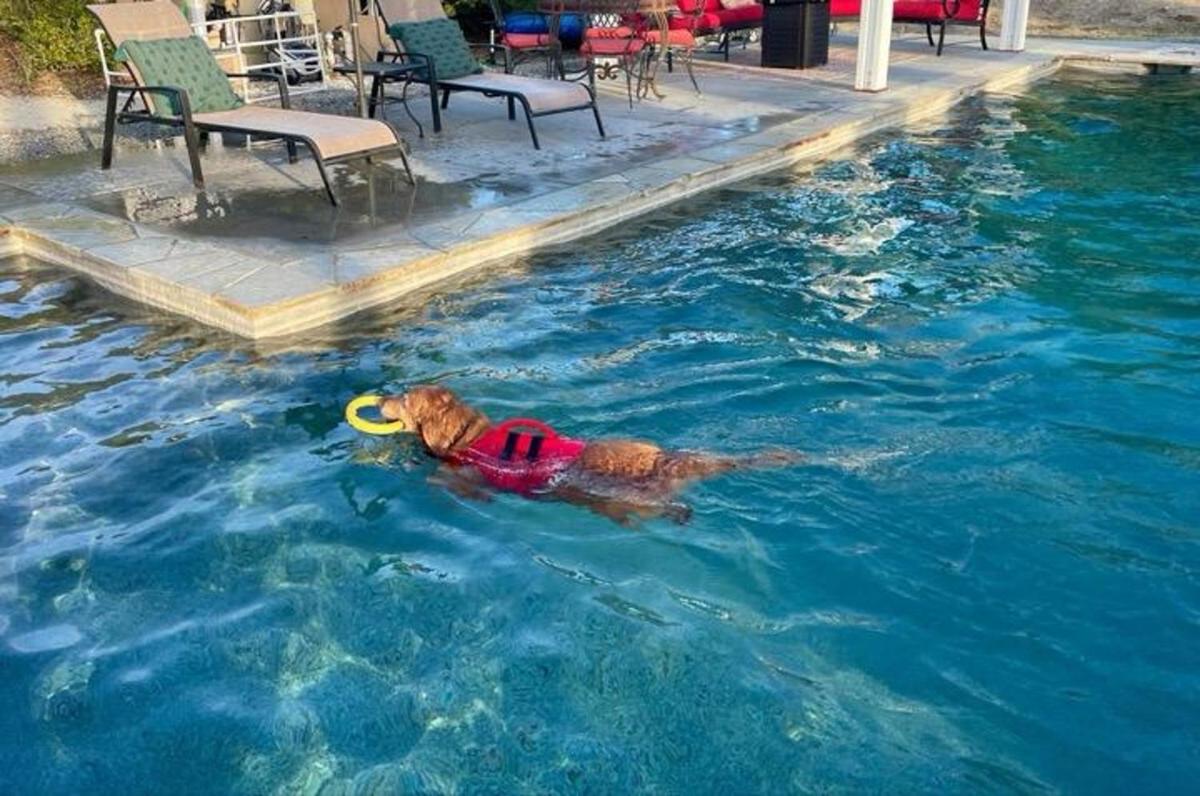 Evo Rv - Pool, Dogs, View, Wineries Near Temecula - Housity