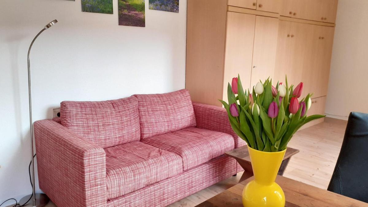 1-Zimmer-Apartment-2-Hochparterre - Housity