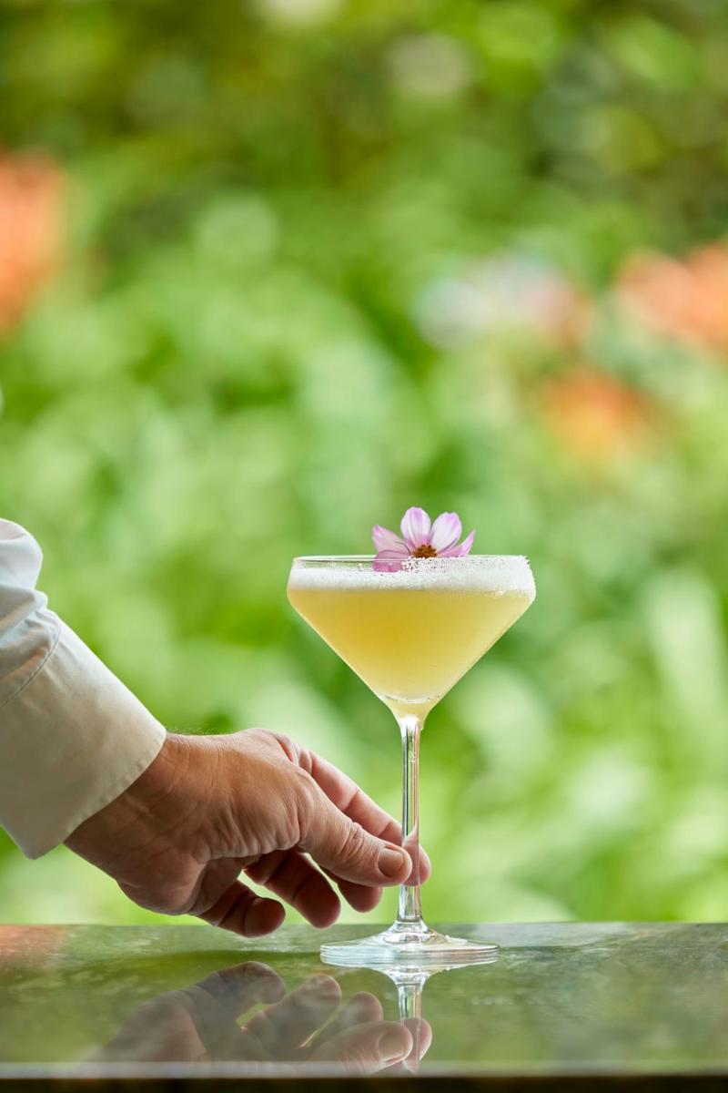 Bebidas em Terra Nostra Garden Hotel