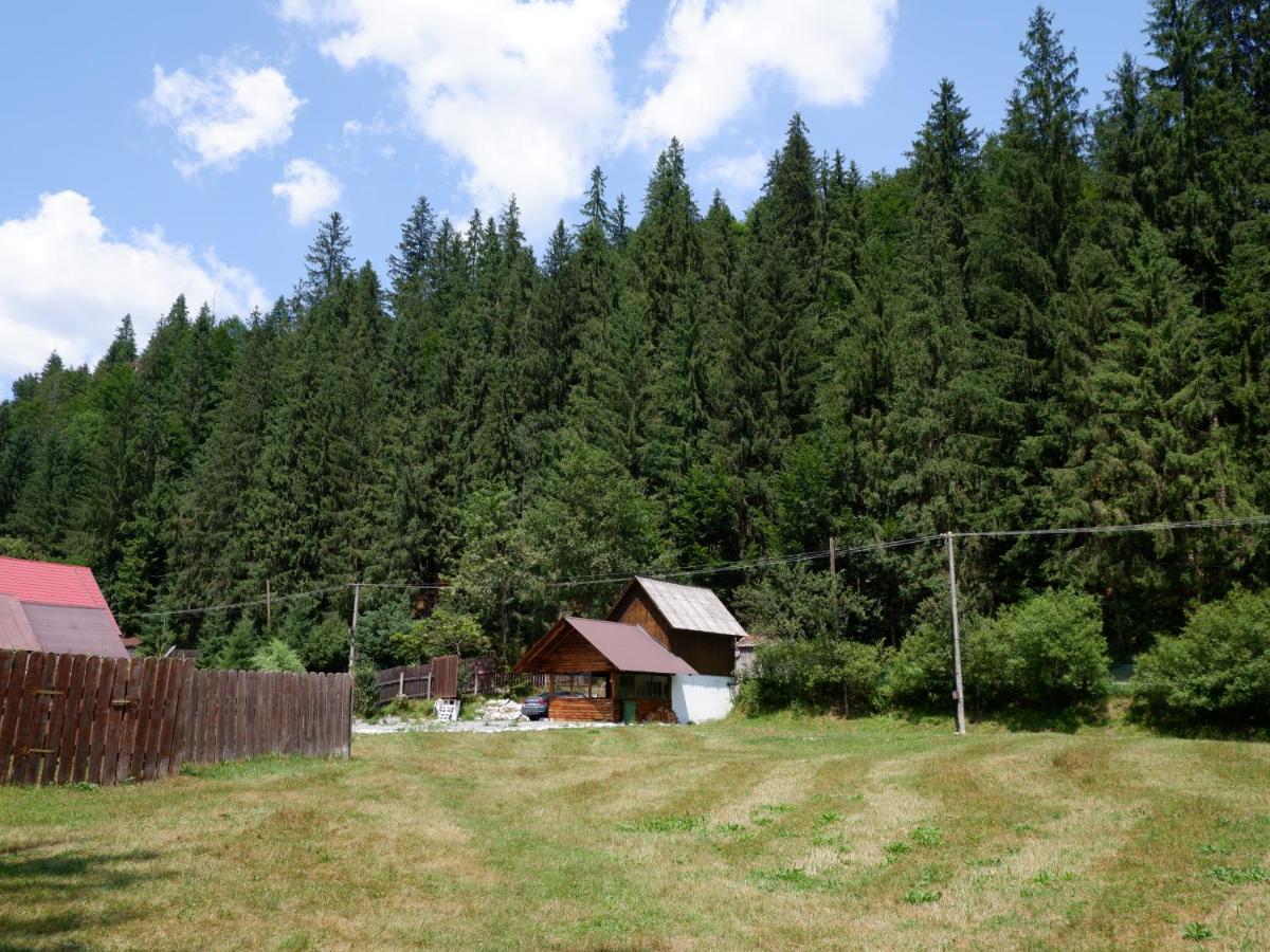 Casa Valer Arieseni - Housity