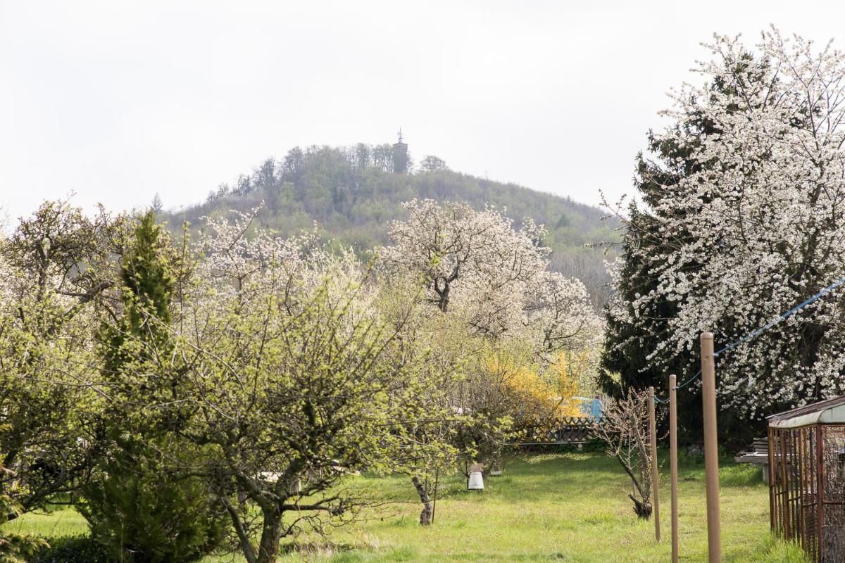 Ferienhaus "Am Staufenberg" - Housity
