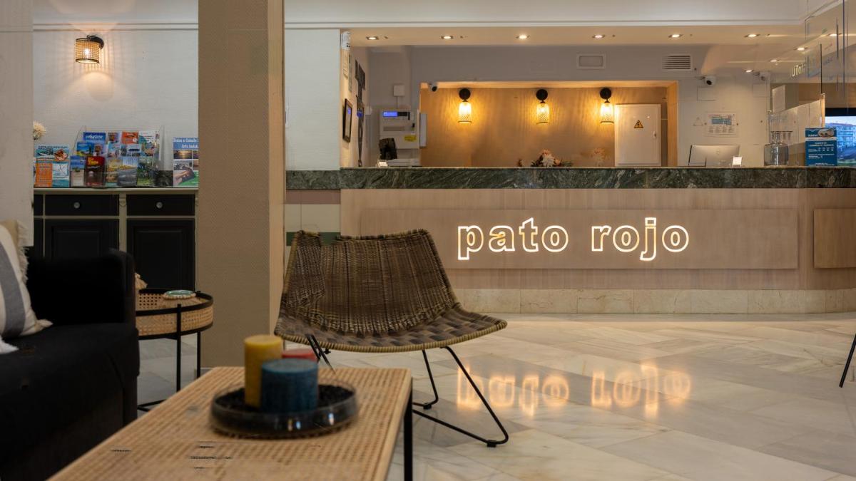 Pato Rojo - Housity