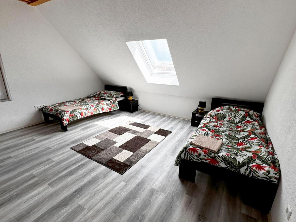 Spacious apartment near Hanau - Housity