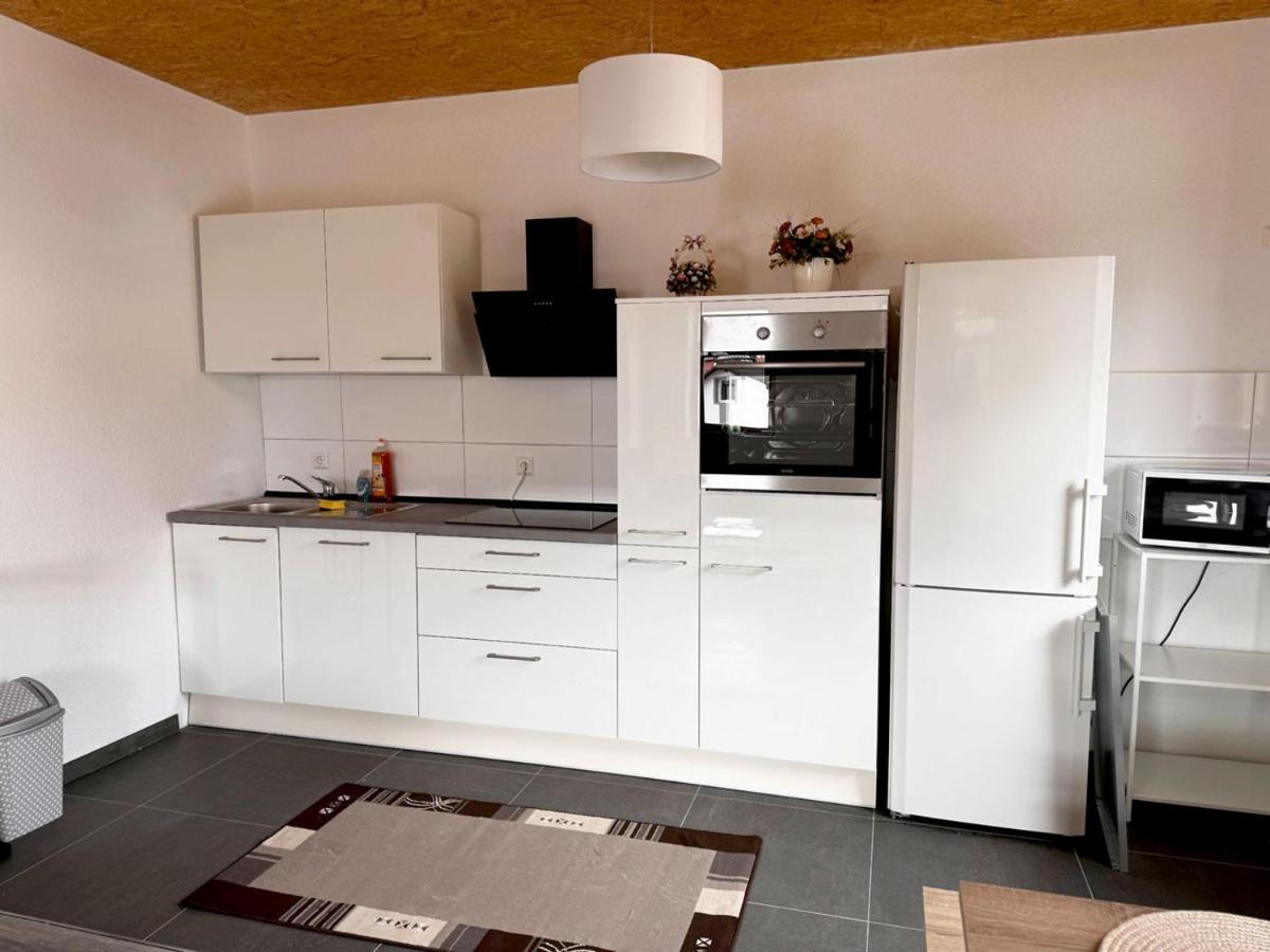 Spacious apartment near Hanau - Housity