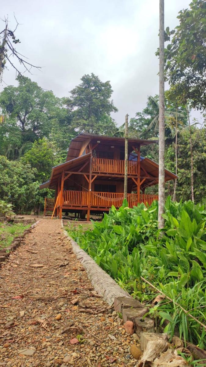 Mama Yeya raíces - Housity