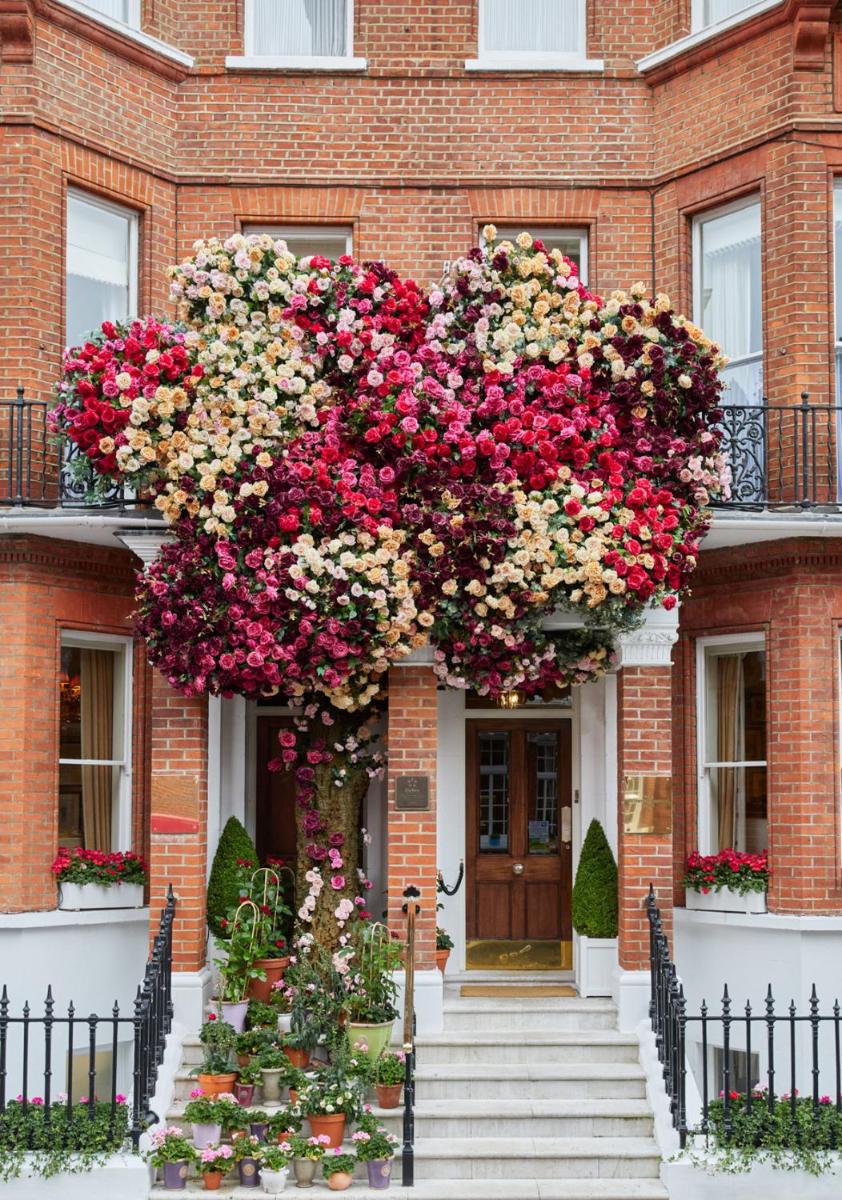 Egerton House - Housity