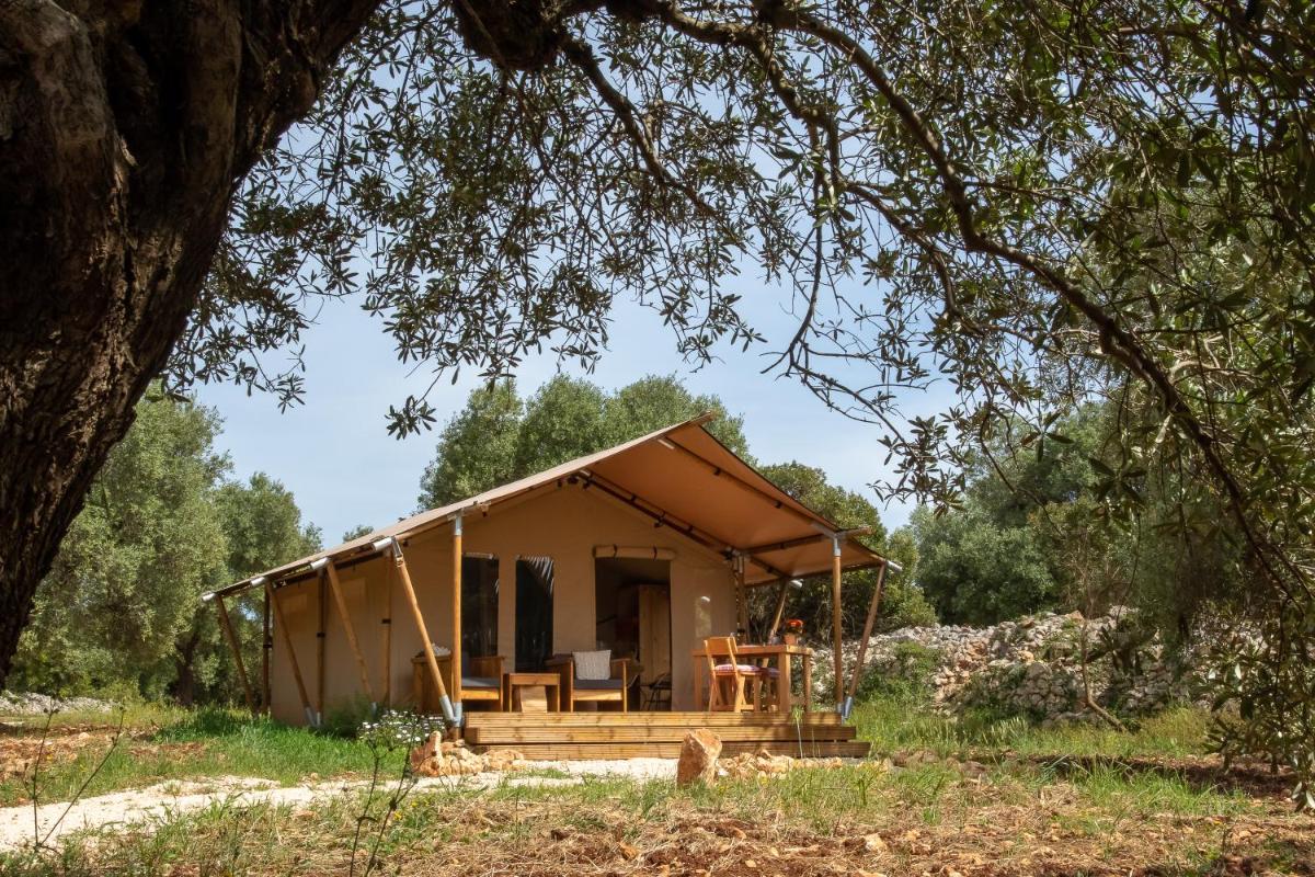Domus Olea Glamping - Housity