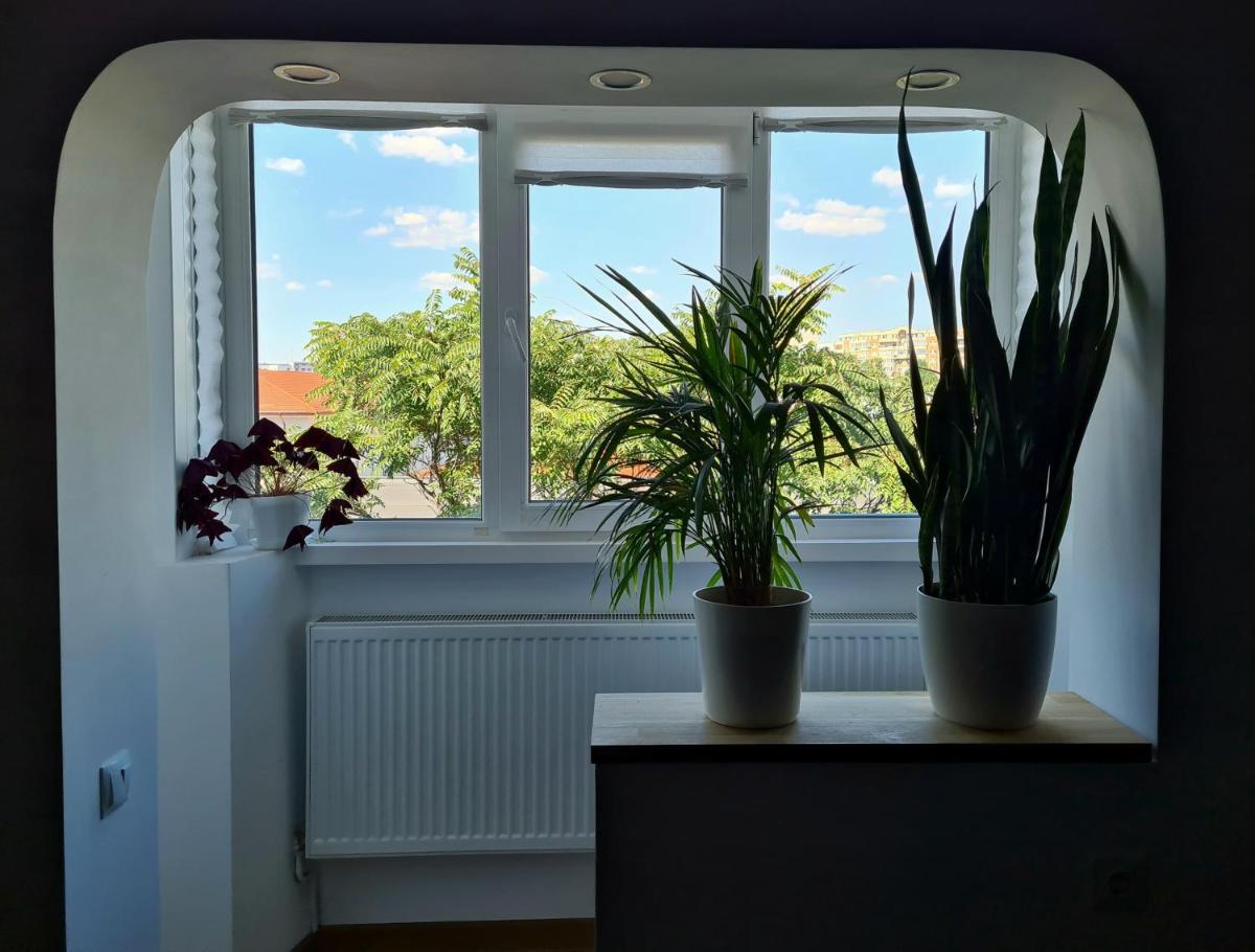 Suitetrails - Apartment in Dristor area