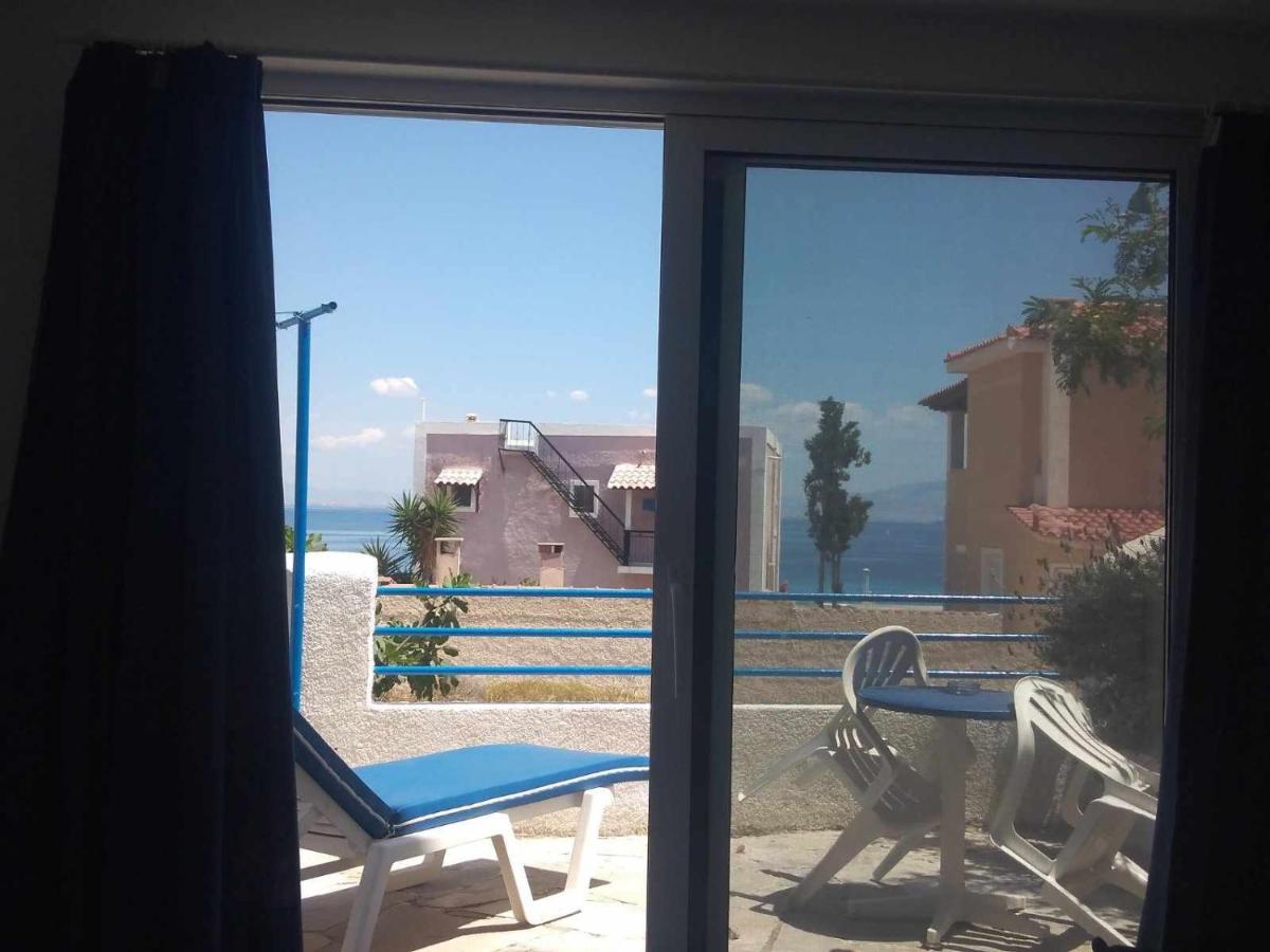 Blue Dolphin Studios and Apartment - Housity
