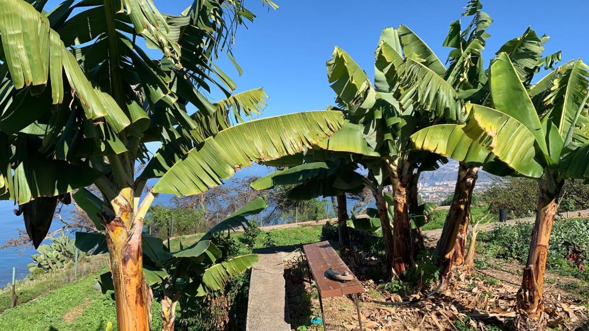 CASAS EN FINCA ECOLÓGICA EL BICLEN, NATURALEZA, CALMA Y VISTAS al MAR, - Housity