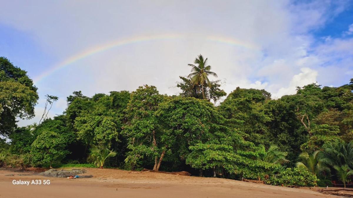 Vista Alta Ecolodge Bahia Drake - Housity