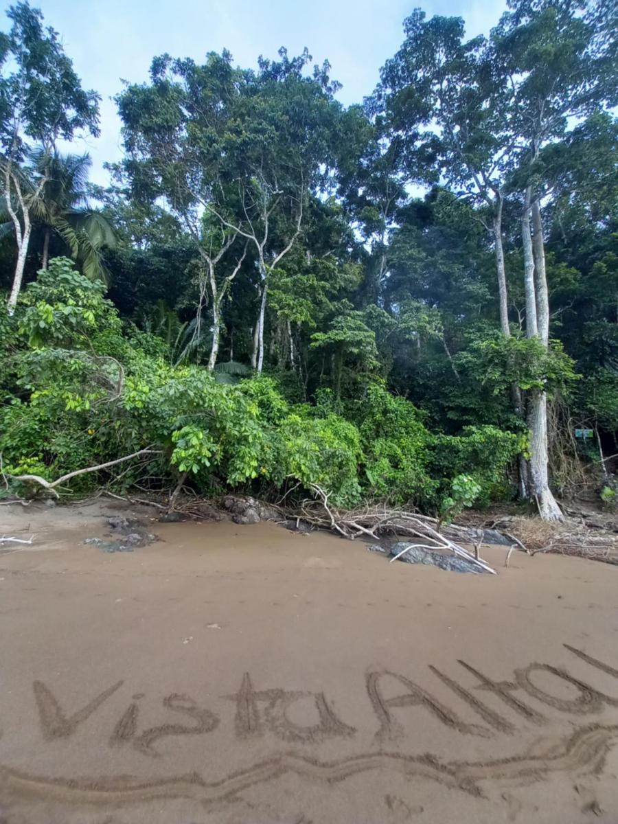 Vista Alta Ecolodge Bahia Drake - Housity