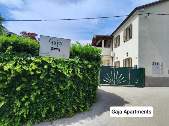 Gaja & Sara Apartments - Housity