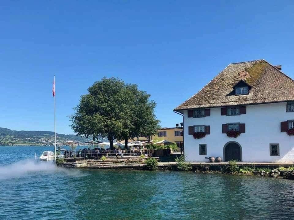 O Cozy Rooftop lakeside 18mn to Zürich 25mn to Zug - Housity