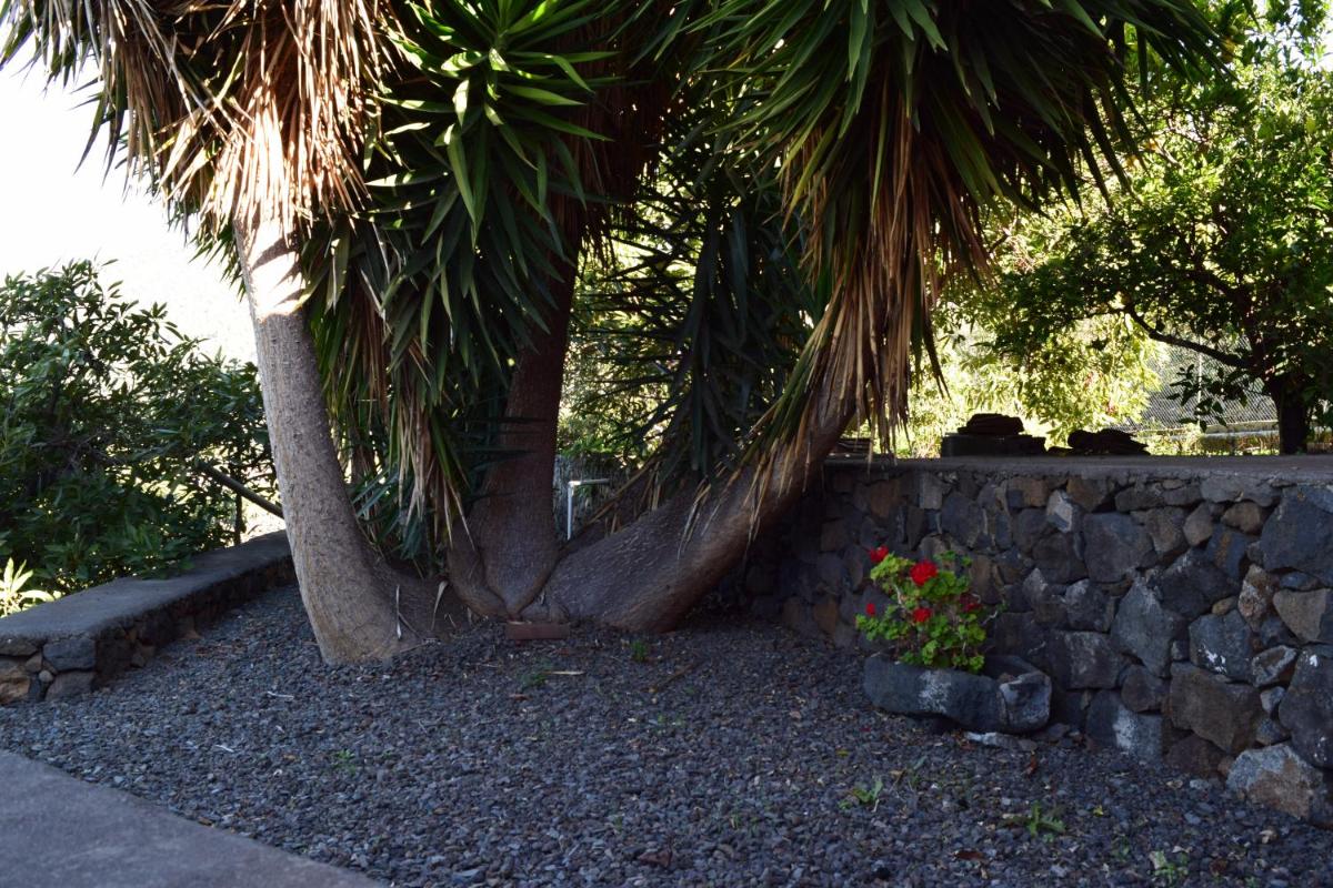 Casa Rural Olga - Housity