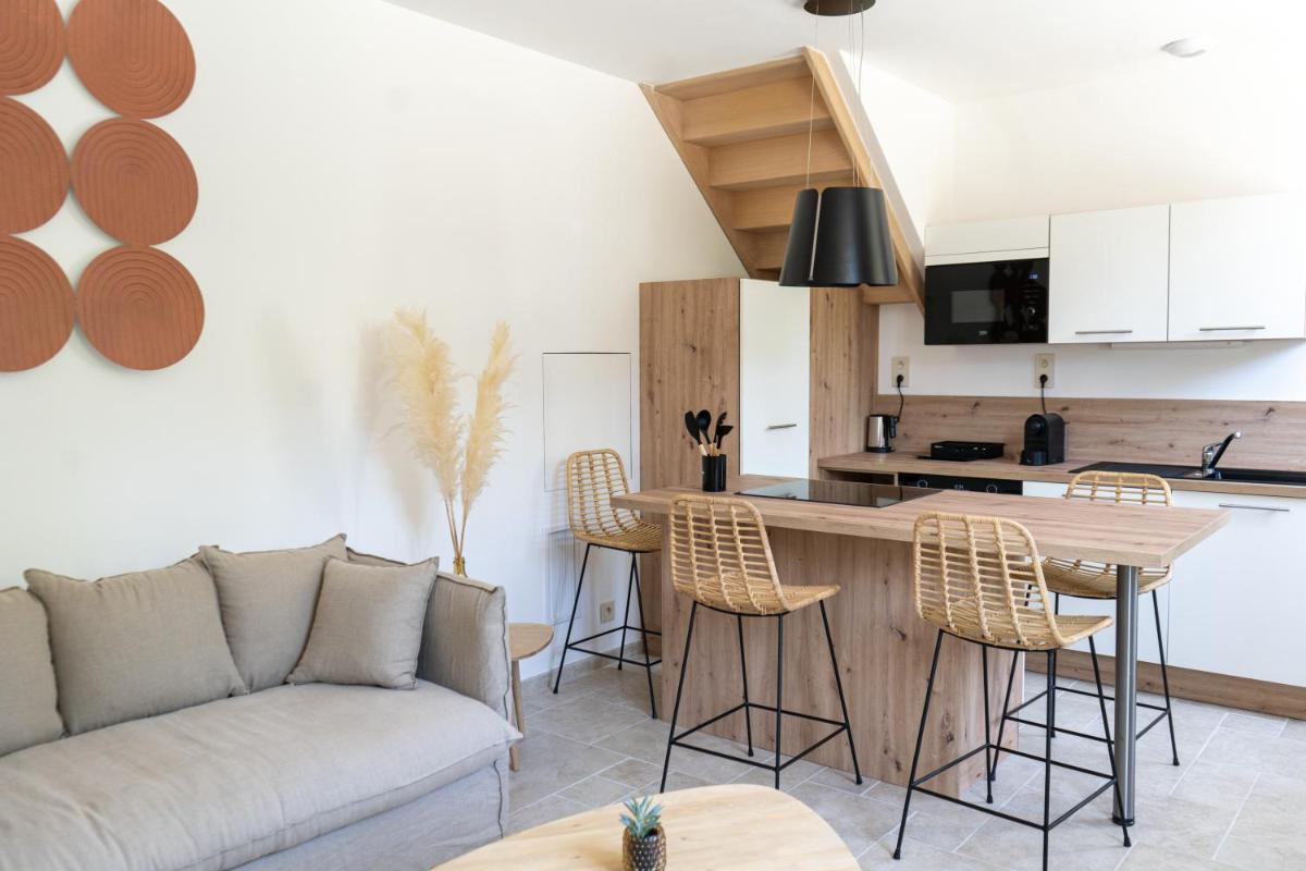 un salon avec un canapé et une cuisine dans l'établissement Château de l'insolas, à Villeneuve-lès-Avignon