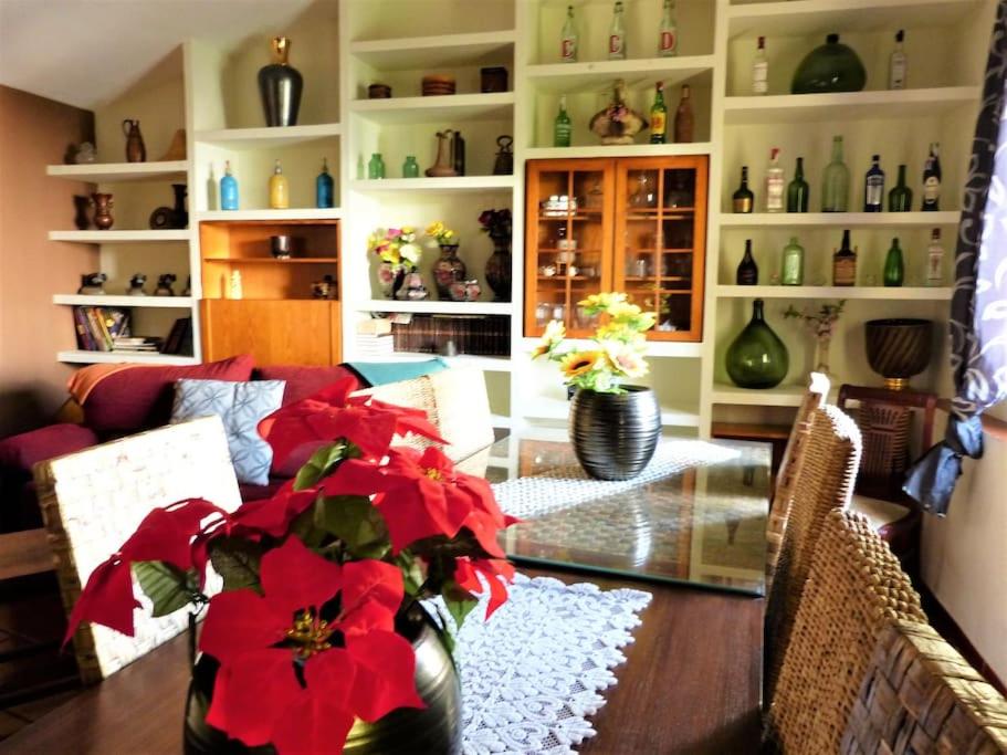 Hort de la Cinteta - Housity