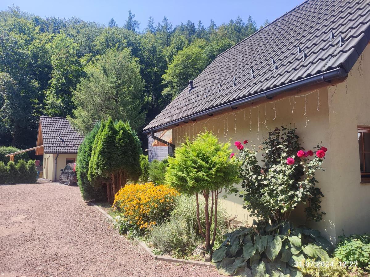 Domki Na Źródlanej - Housity
