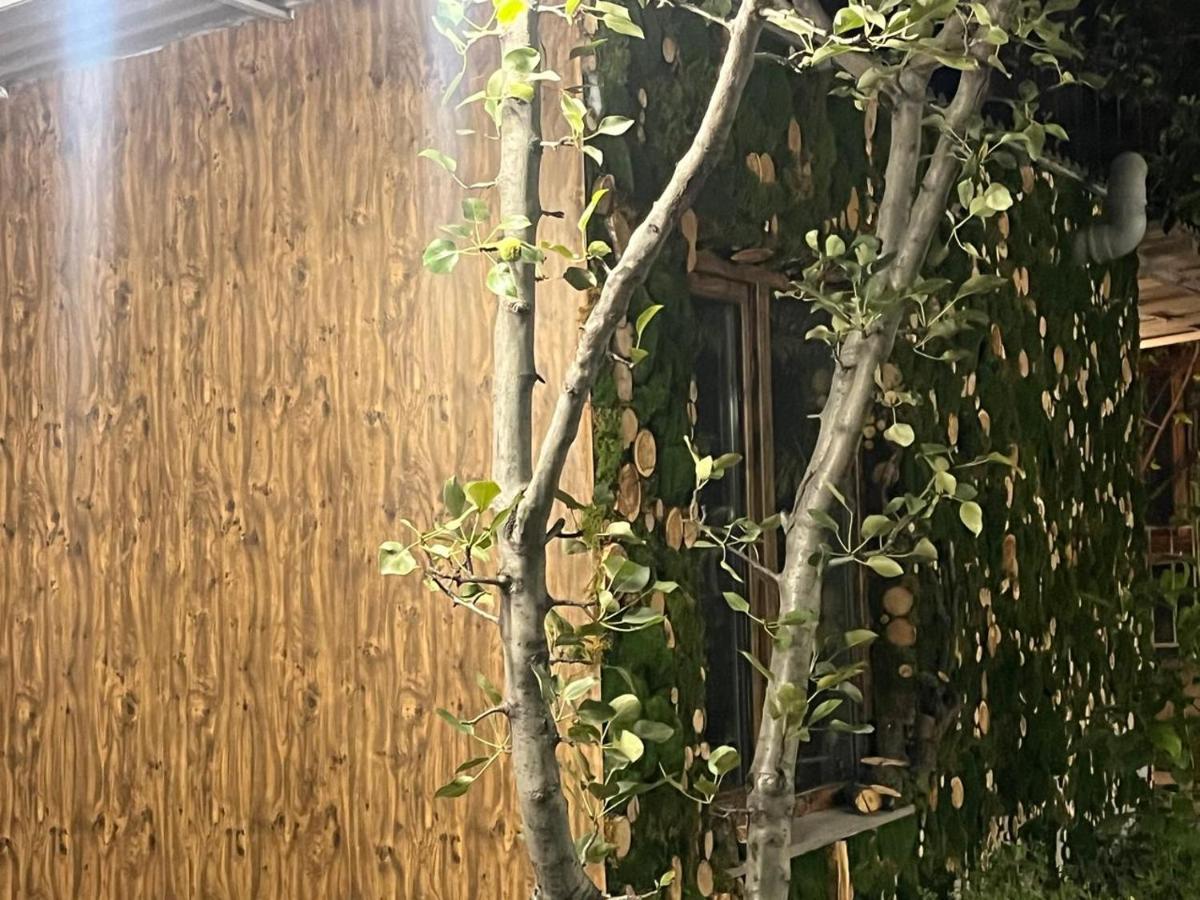 Andranik B&B - Housity