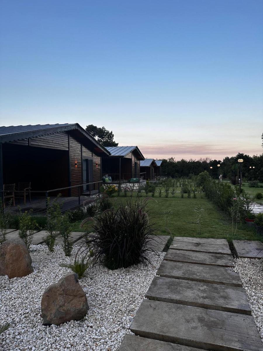 Cirali Simge Holiday Houses - Housity