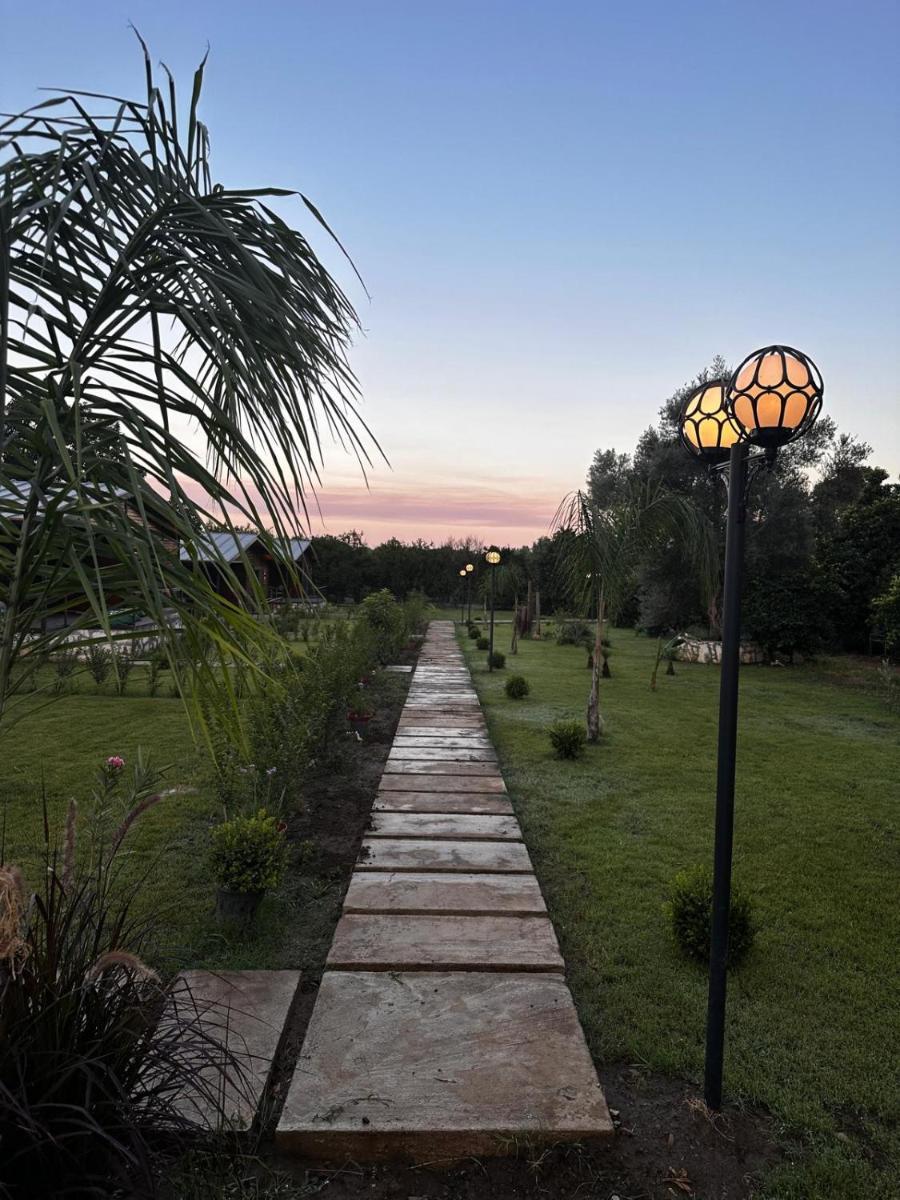 Cirali Simge Holiday Houses - Housity