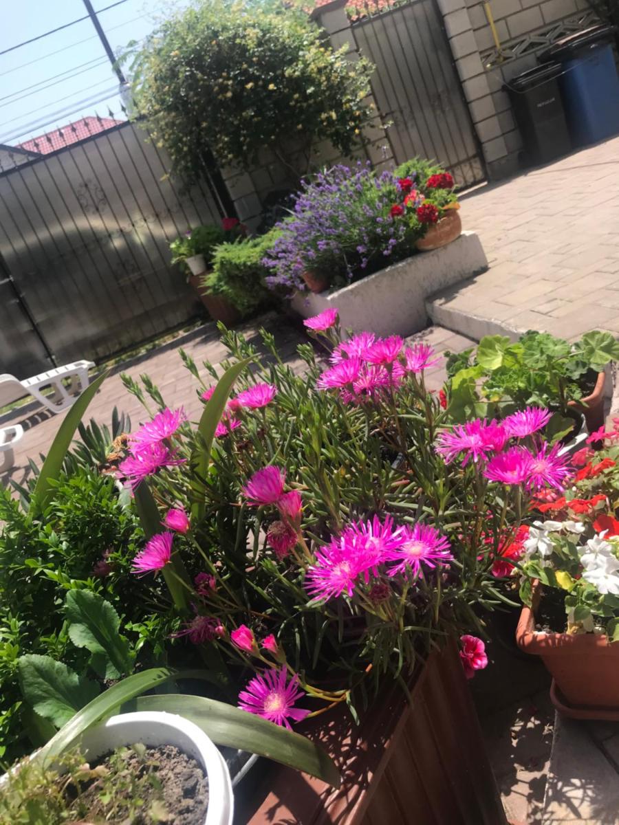CASA DENIZ - Housity