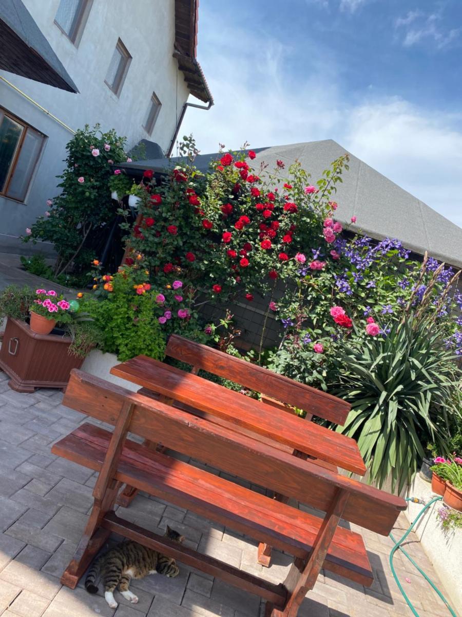 CASA DENIZ - Housity