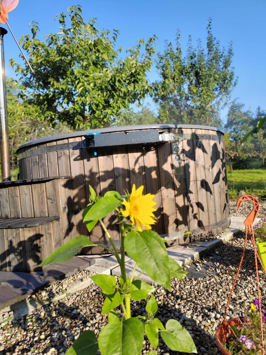 Domek SADKOWO - wśród jabłoni , balia ogrodowa dodatkowo płatna - Housity