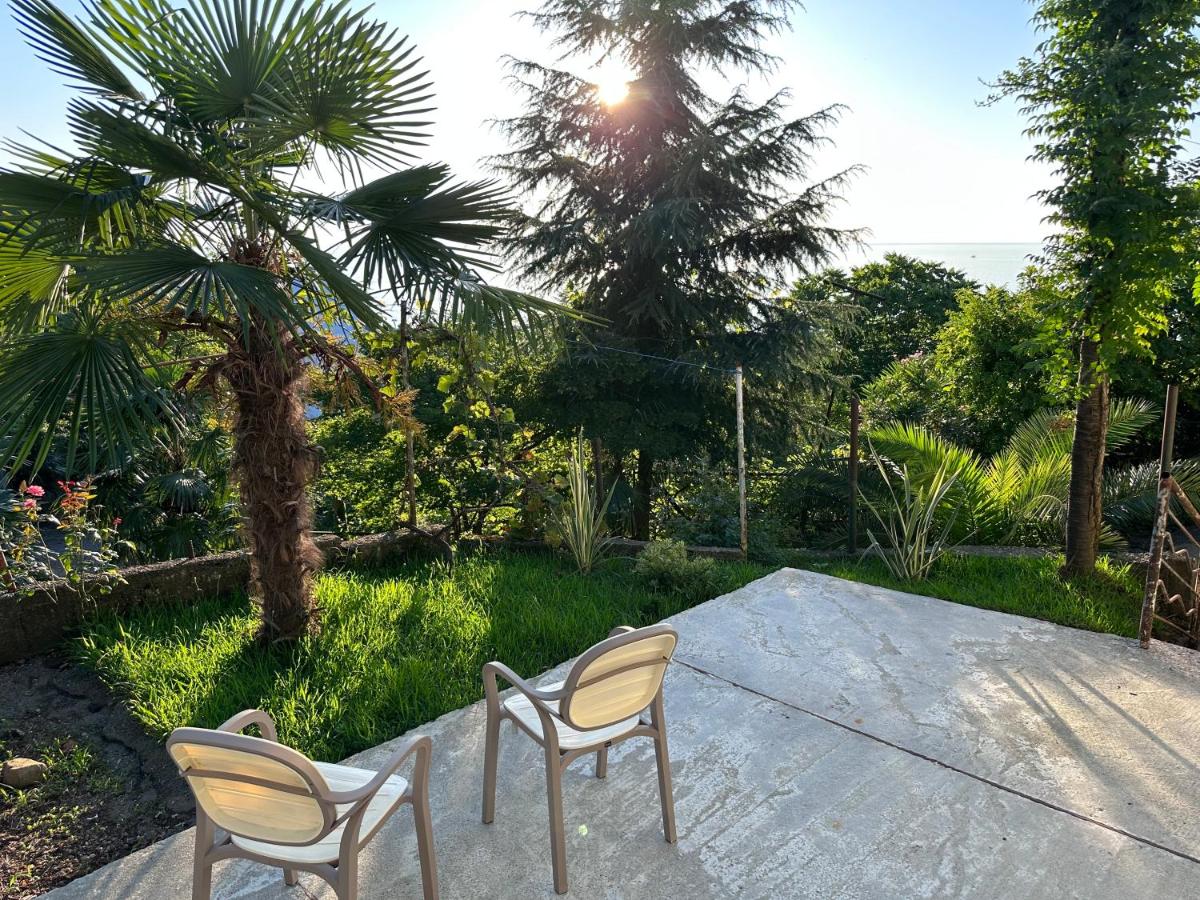 apartament abuseridze - Housity