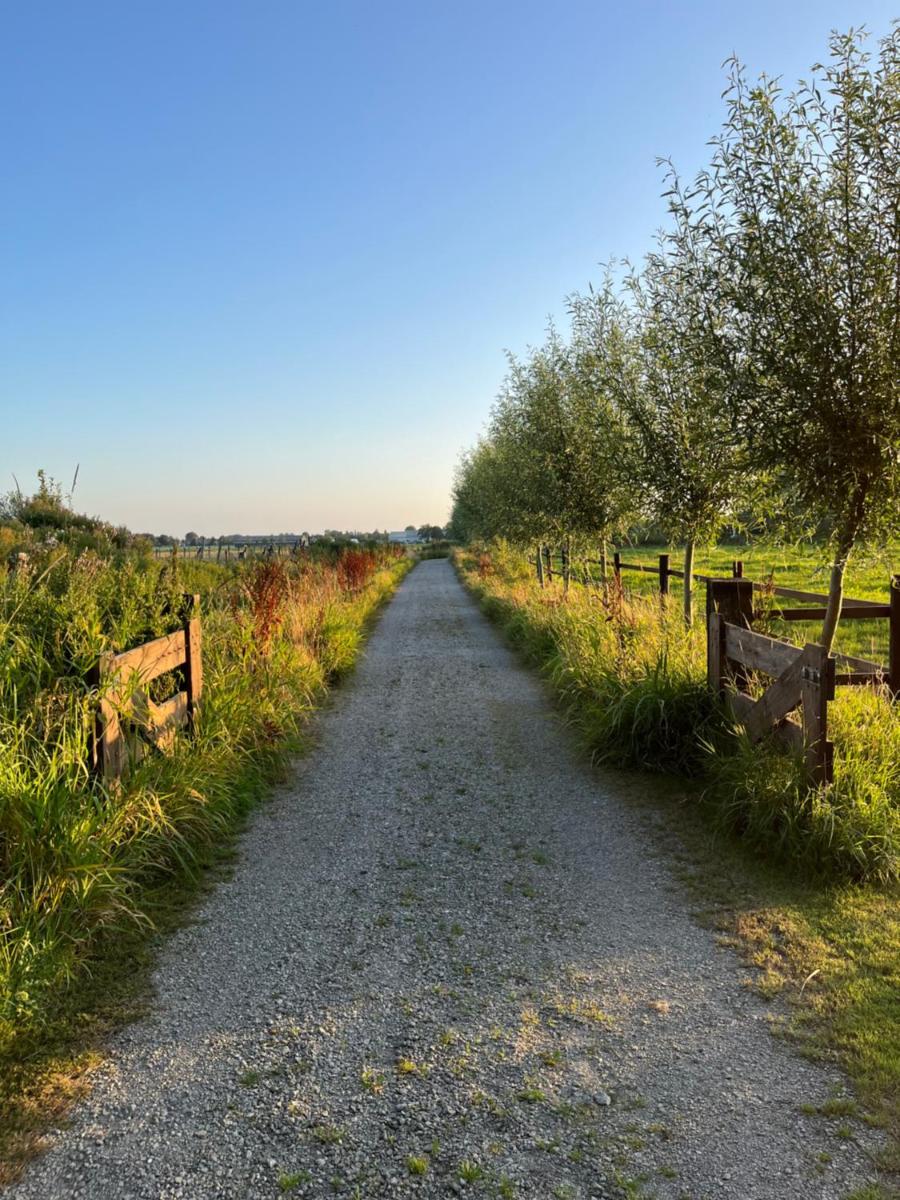 Fields 1216 - Housity