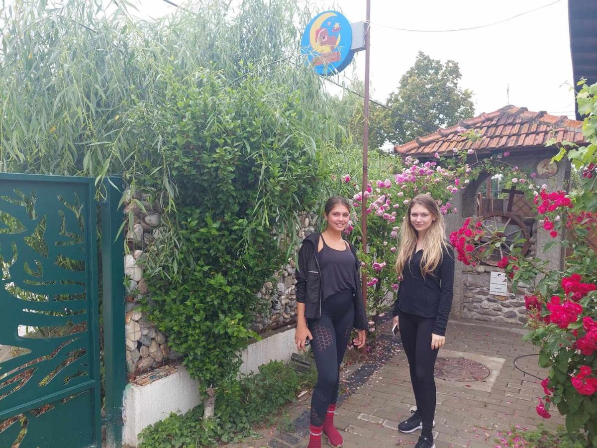 Victoriei 35B - Housity