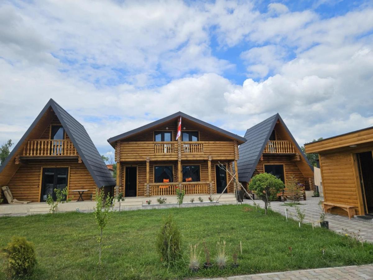 Eco House Bazaleti Lake N1 - Housity