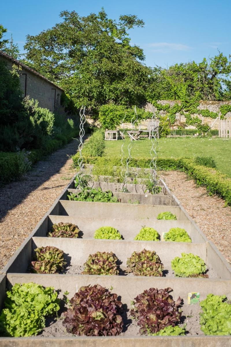Jardin de l'établissement Auberge du Bon Laboureur Chenonceaux