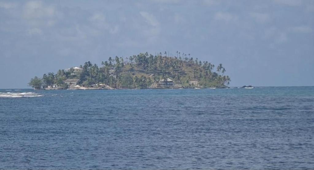 Kame House - Housity