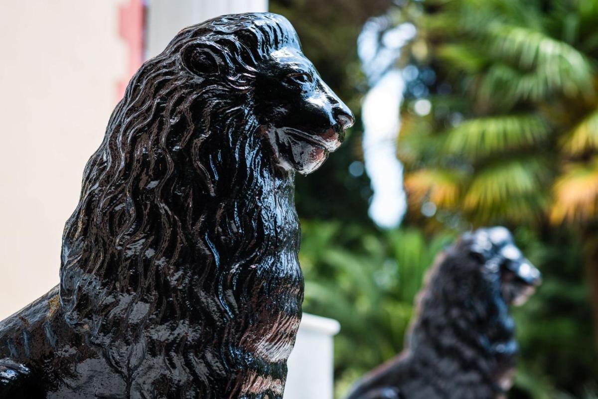 Animales en el hotel o alrededores