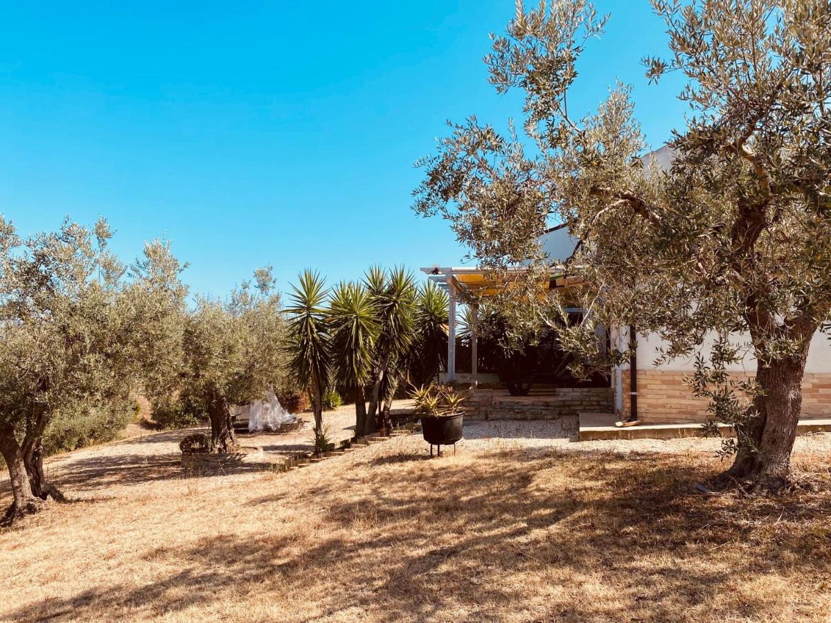 B&B Alive Abruzzo, DOG FRIENDLY - Housity