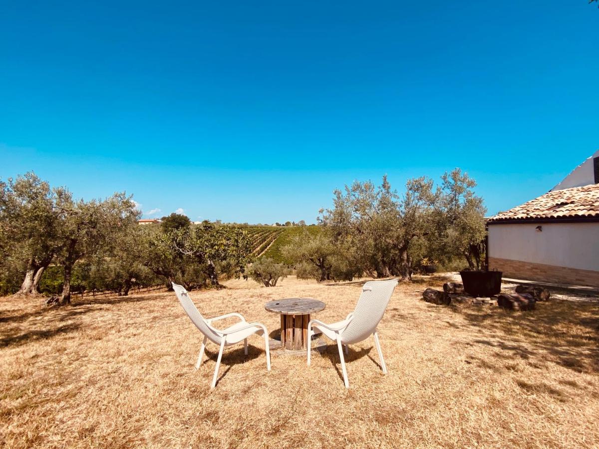 B&B Alive Abruzzo, DOG FRIENDLY - Housity