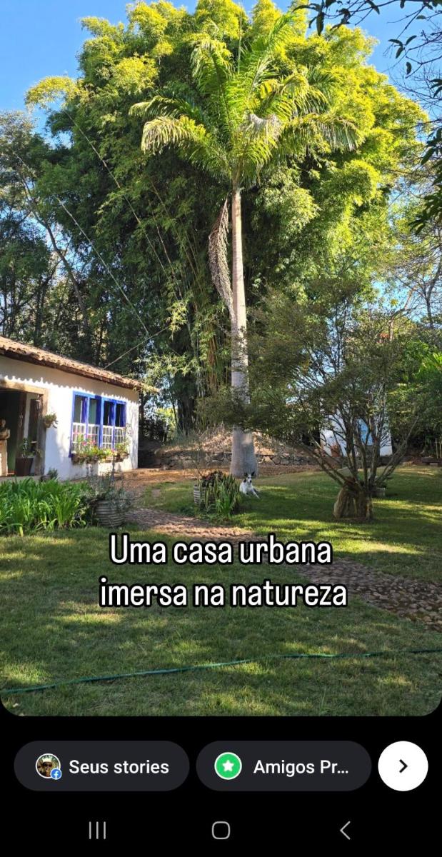 Casa Verde-Casa de Temporada no Bichinho - Housity